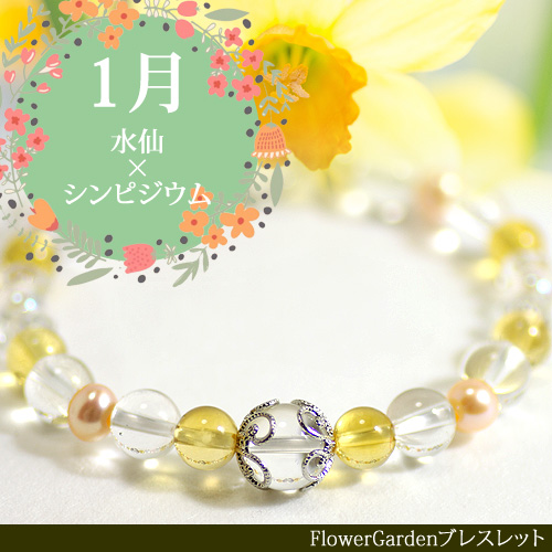 【1月誕生月パワーストーンブレスレット】天然石シ...